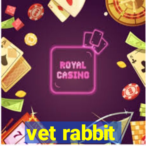 vet rabbit